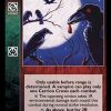 Carrion Crows