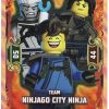 TEAM NinjaGo City Ninja