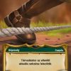 Botlódrót Vadász Fekete